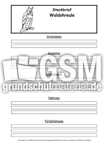 Steckbriefvorlage-Waldohreule.pdf